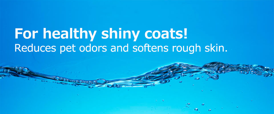 For healty shiny coats! Reduces pet odors and softens rough skin.