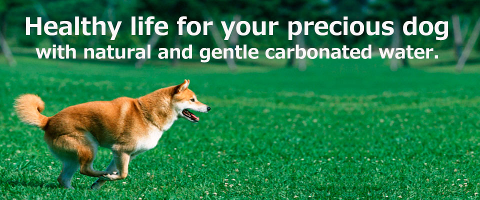 Healthy life for your precious dog with natural and gentle cabonated water