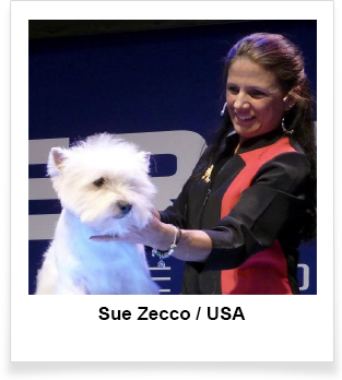 Sue Zecco / USA